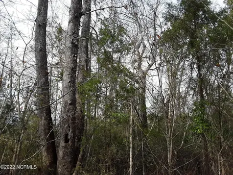 D08-67 John Pollock Road Grantsboro NC 28529