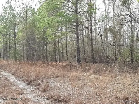 D08-66 John Pollock Road Grantsboro NC 28529