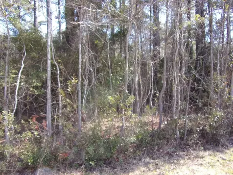 115 Cartuca Trail Beaufort NC 28516