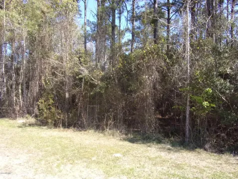 115 Cartuca Trail Beaufort NC 28516