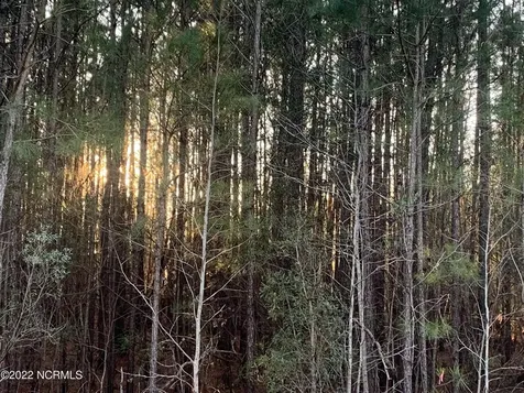 Lot 24 Bailey Pointe S/d Drive Belhaven NC 27810