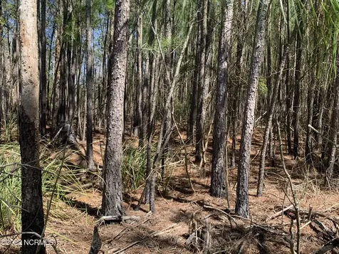 Lot 24 Bailey Pointe S/d Drive Belhaven NC 27810