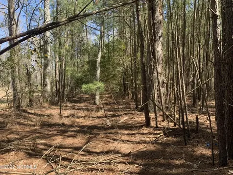 Lot 24 Bailey Pointe S/d Drive Belhaven NC 27810
