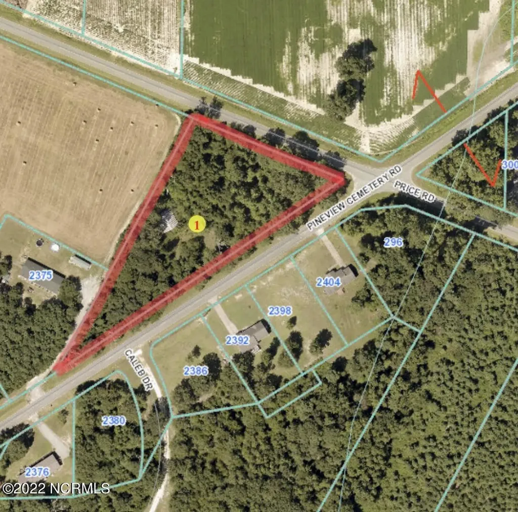 0 Pineview Cemetery Road Seven Springs NC 28578