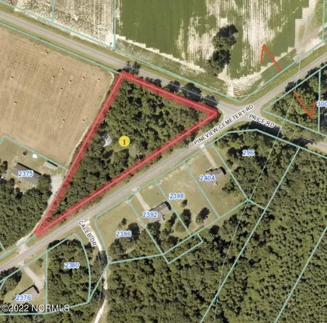 0 Pineview Cemetery Road Seven Springs NC 28578