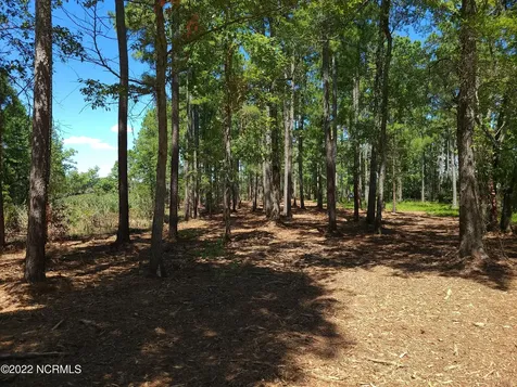 6 Ashton Drive Bath NC 27808