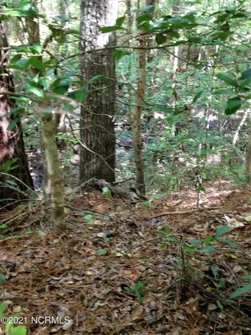 2100 Blk Midway Road SE Bolivia NC 28422