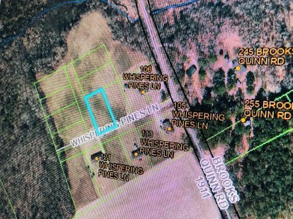 13 Whispering Pines Lane Magnolia NC 28453
