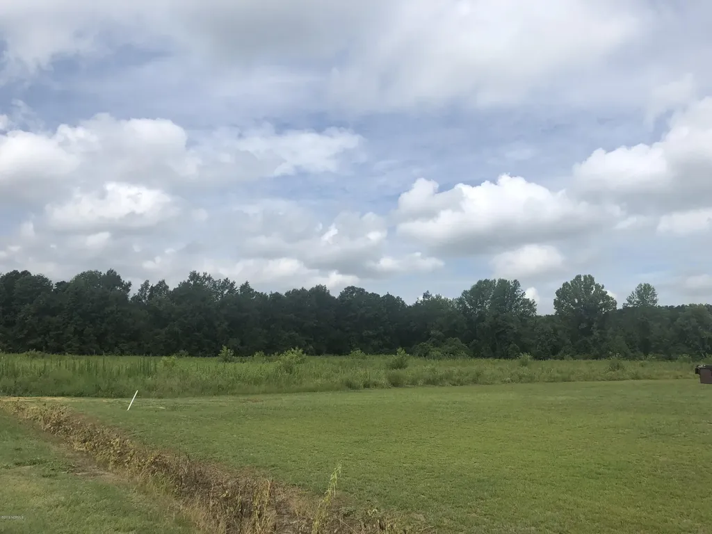 14 Whispering Pines Lane Magnolia NC 28453