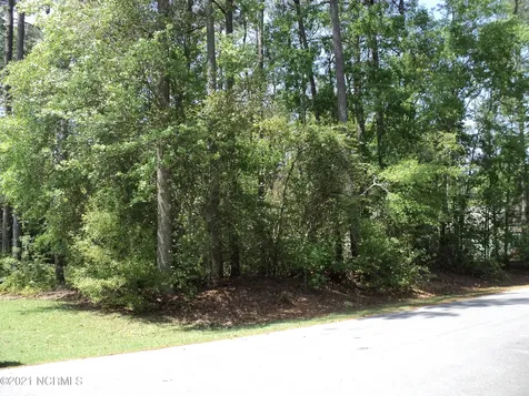 Lot 53 W Fairway Drive Washington NC 27889