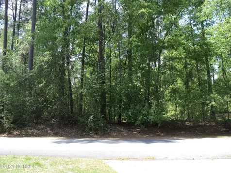 Lot 53 W Fairway Drive Washington NC 27889