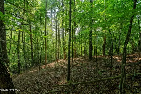 99AC Highway 74/19-129 Murphy NC 28906
