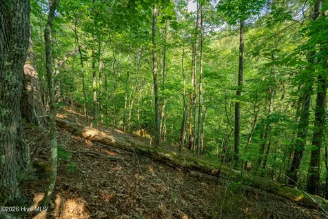 99AC Highway 74/19-129 Murphy NC 28906