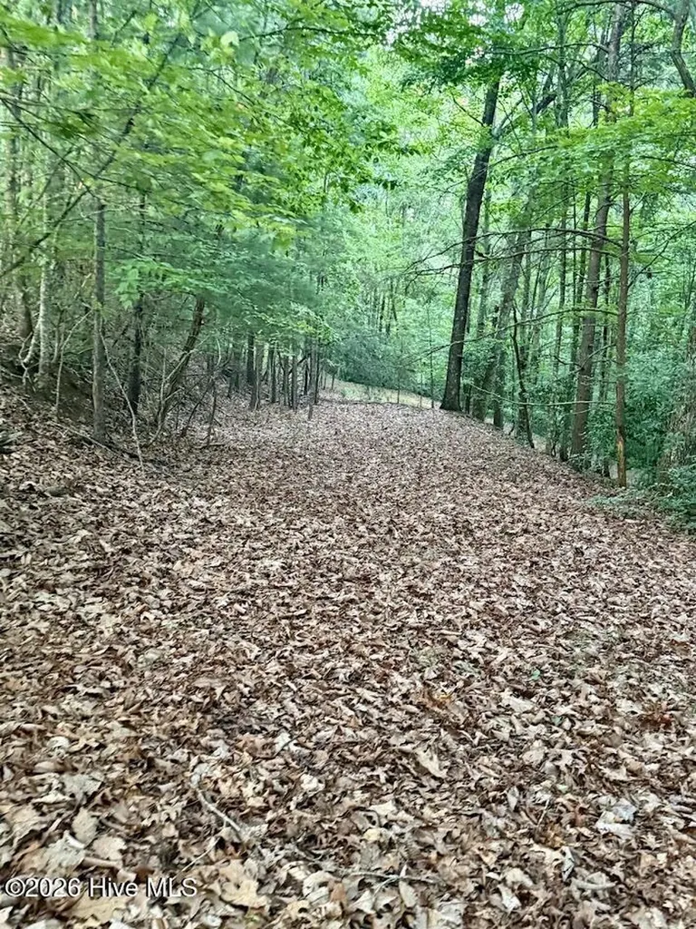 Tbd Lot 43 Pine Cove Lane Murphy NC 28906