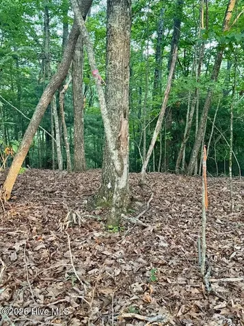 Tbd Lot 43 Pine Cove Lane Murphy NC 28906