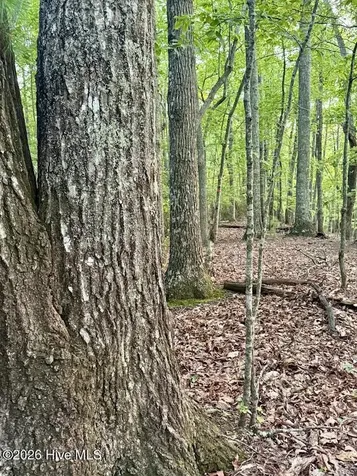Tbd Lot 43 Pine Cove Lane Murphy NC 28906
