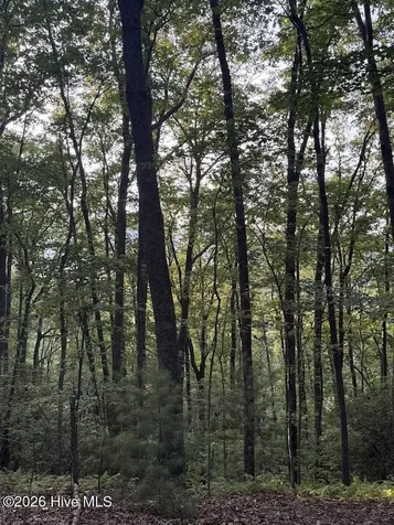 Tbd Lot 43 Pine Cove Lane Murphy NC 28906