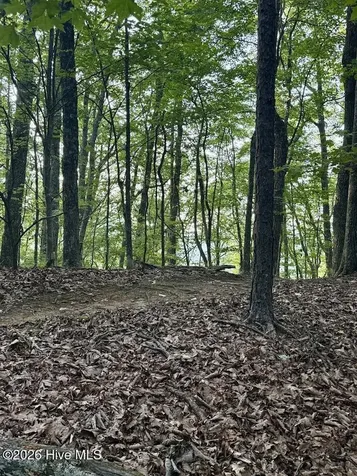 Tbd Lot 43 Pine Cove Lane Murphy NC 28906