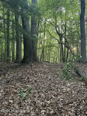 Tbd Lot 43 Pine Cove Lane Murphy NC 28906