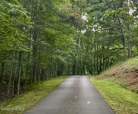 Tbd Lot 43 Pine Cove Lane Murphy NC 28906