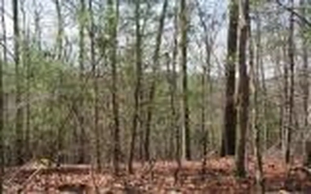 Lot 7 Lady Lane W Murphy NC 28906