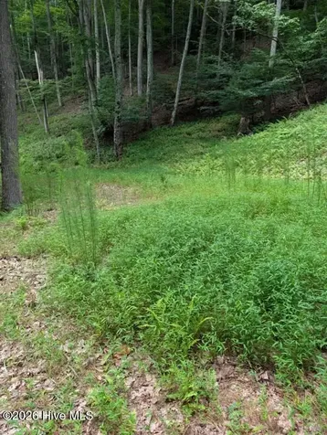 190 Valley Crest Drive Blairsville GA 30512