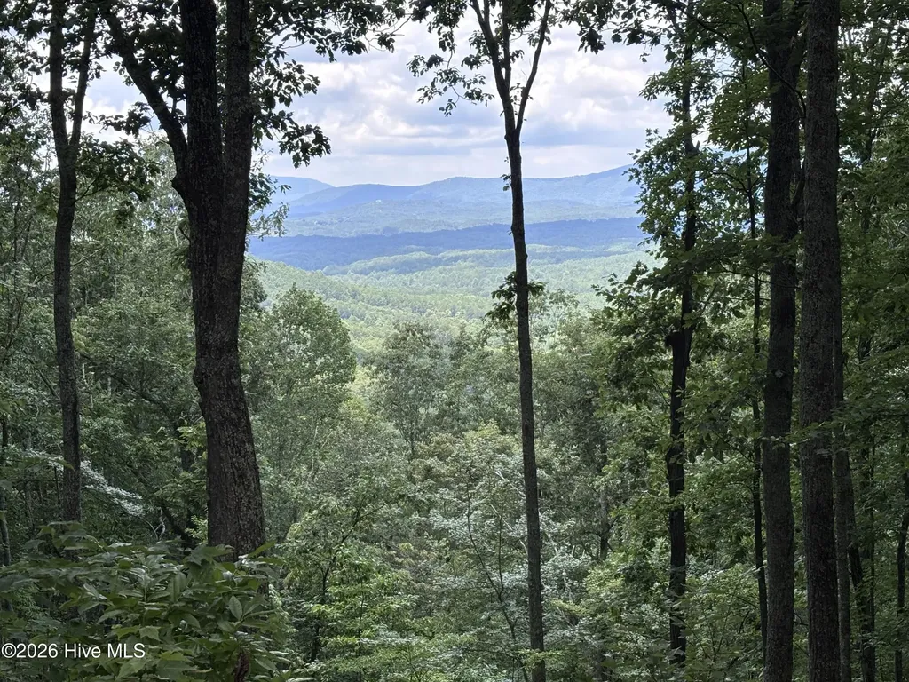 Lot 169 Wilderness Creek Way Murphy NC 28906