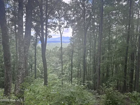 Lot 169 Wilderness Creek Way Murphy NC 28906