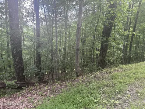Lot 169 Wilderness Creek Way Murphy NC 28906