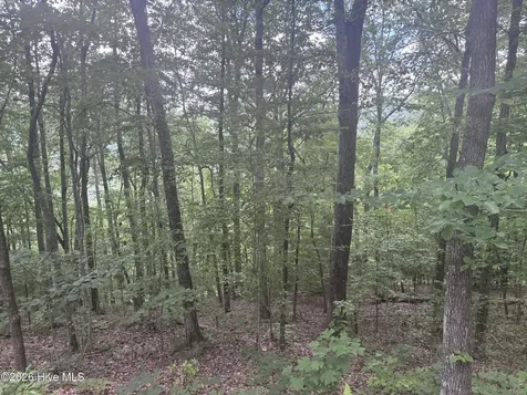 Lot 169 Wilderness Creek Way Murphy NC 28906
