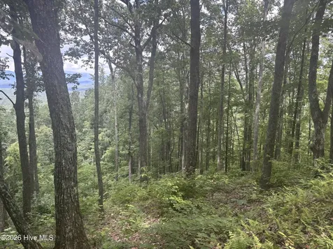 Lot 169 Wilderness Creek Way Murphy NC 28906