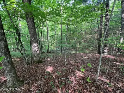 Lot 1 Leonard Lane Murphy NC 28906