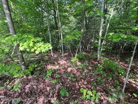 Lot 1 Leonard Lane Murphy NC 28906