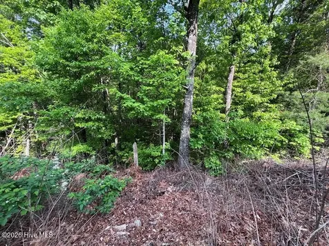 Lot 1 Leonard Lane Murphy NC 28906