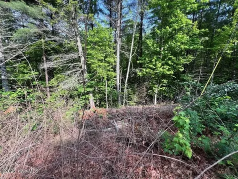 Lot 1 Leonard Lane Murphy NC 28906