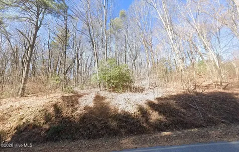 20 Tall Pines Road Franklin NC 23851