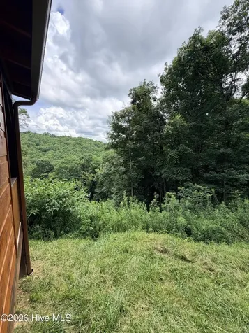 371 Black Bear Trail Topton NC 28781