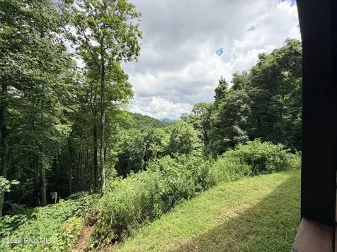 371 Black Bear Trail Topton NC 28781