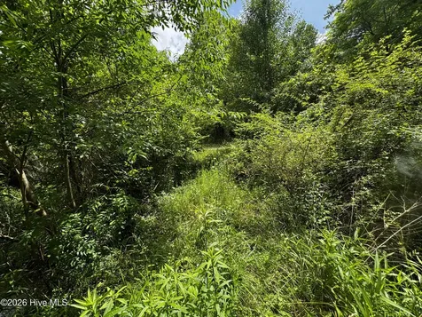 11061 Carolina 294 Murphy NC 28906