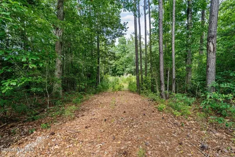 Lot 19 Oyster Point Lane Hampstead NC 28443
