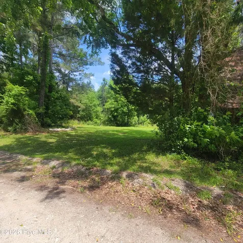 Tract 3 Old Blakes Bridge Road Burgaw NC 28425