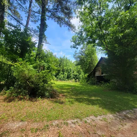 Tract 3 Old Blakes Bridge Road Burgaw NC 28425