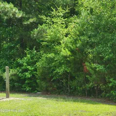 Tract 3 Old Blakes Bridge Road Burgaw NC 28425
