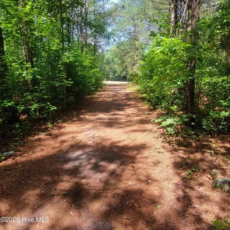 Tract 3 Old Blakes Bridge Road Burgaw NC 28425
