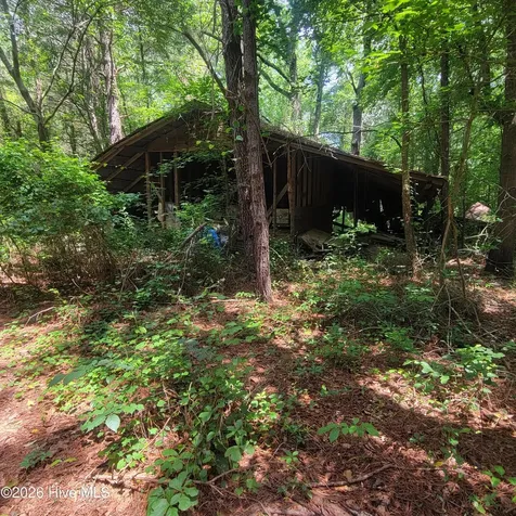 Tract 3 Old Blakes Bridge Road Burgaw NC 28425