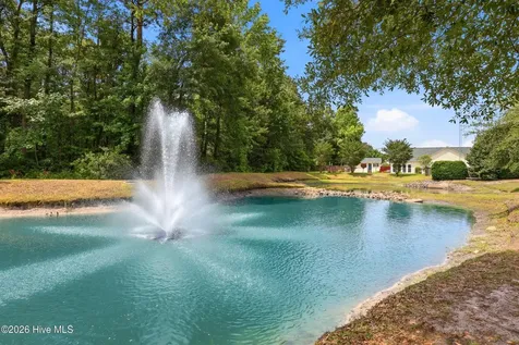 4124 Pine Brush Drive Leland NC 28451