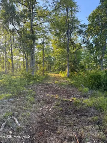 705 Russells Creek Road Beaufort NC 28516