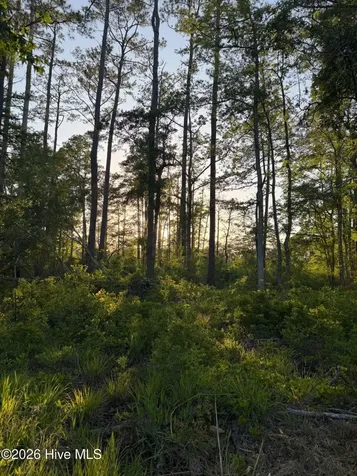 705 Russells Creek Road Beaufort NC 28516