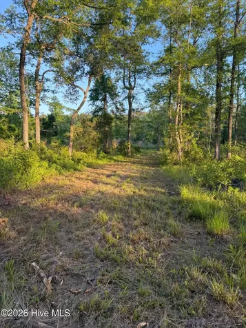 705 Russells Creek Road Beaufort NC 28516