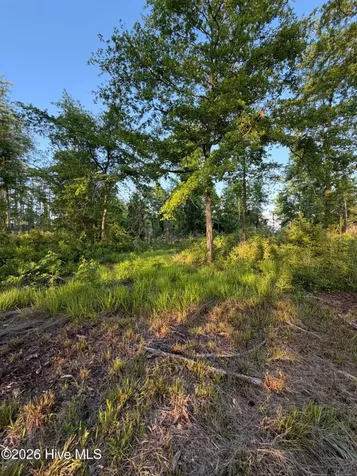 705 Russells Creek Road Beaufort NC 28516